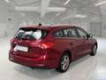 Ford Focus WAGON 1.5 Ecoblue 120cv Business Co-Pilot Auto - thumbnail 4