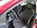Ford Focus WAGON 1.5 Ecoblue 120cv Business Co-Pilot Auto - thumbnail 9