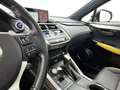 Lexus NX 300h AWD F SPORT Line Limited Grijs - thumbnail 7