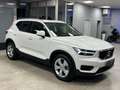 Volvo XC40 XC40 2.0 d3 awd geartronic my20 Bianco - thumbnail 12