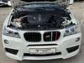 BMW X3 sDrive 18d+M Sport+Navi+Xenon Weiß - thumbnail 12