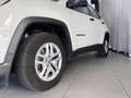 Jeep Compass 1,4 MultiAir Sport FWD 6MT 140 Weiß - thumbnail 3
