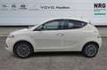 Lancia Ypsilon 3ª serie 1.0 FireFly 5 porte S&S Hybrid Ecochic Si Blanc - thumbnail 4