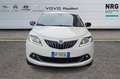 Lancia Ypsilon 3ª serie 1.0 FireFly 5 porte S&S Hybrid Ecochic Si Blanc - thumbnail 2