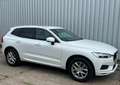 Volvo XC60 T5 Momentum Pro 2WD *AHZV*LED*Leder* Weiß - thumbnail 5