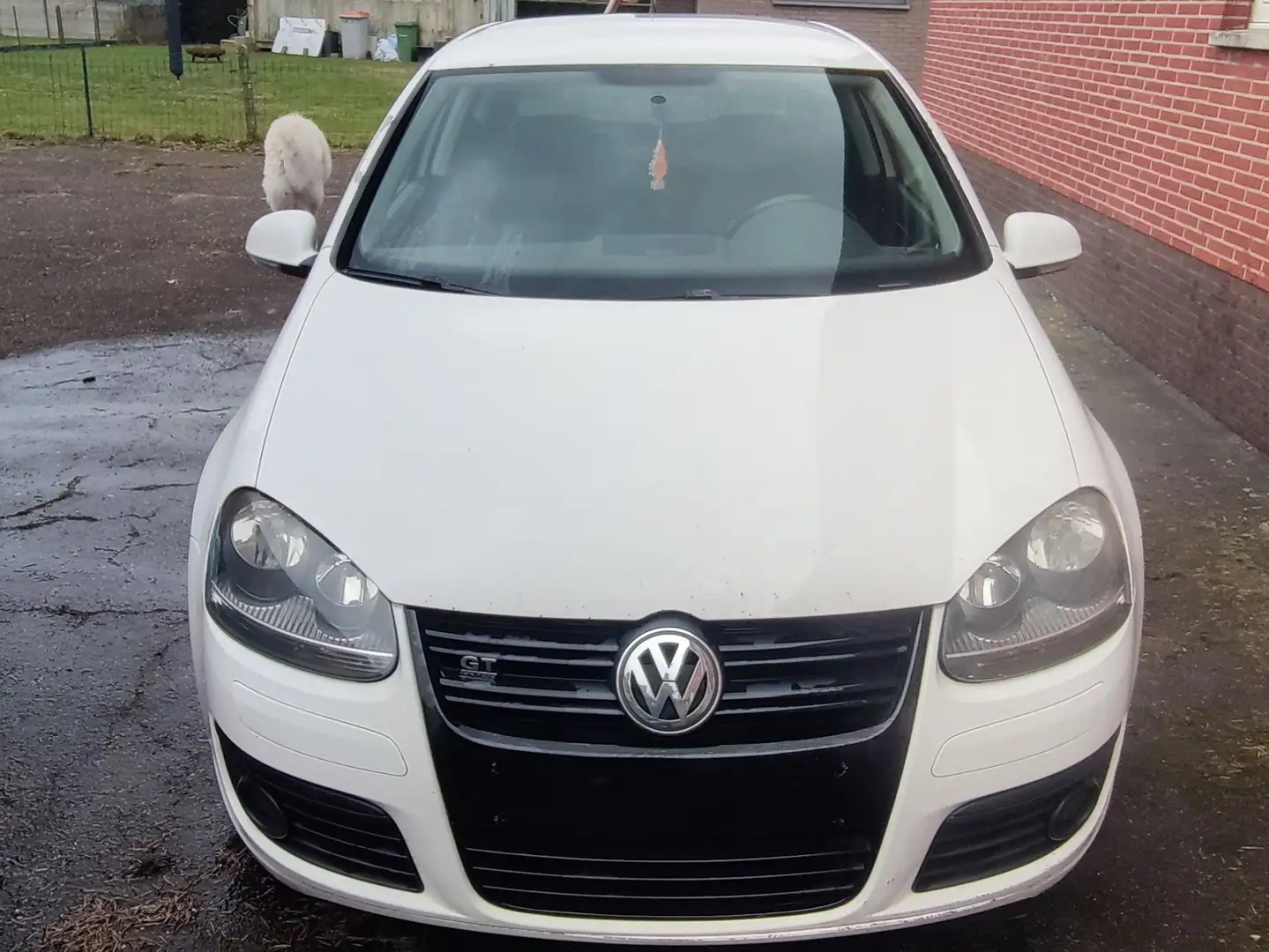 Volkswagen Golf Golf 2.0 TDI Edition Белый - 1