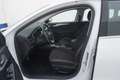 Ford Focus SW Business Co-Pilot 1.5 Diesel 120CV Bianco - thumbnail 10