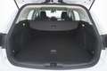 Ford Focus SW Business Co-Pilot 1.5 Diesel 120CV Bianco - thumbnail 14