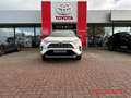 Toyota RAV 4 Hybrid 4x2 Style Selection 2.5 VVT-i JBL Weiß - thumbnail 5