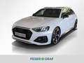 Audi RS4 Avant 2.9 TFSI qu. Matrix Pano V-Max 280 km/h Weiß - thumbnail 1