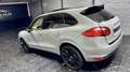 Porsche Cayenne Diesel Platinum Edition Aut. Gris - thumbnail 16