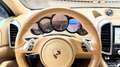 Porsche Cayenne Diesel Platinum Edition Aut. Gris - thumbnail 40