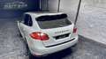 Porsche Cayenne Diesel Platinum Edition Aut. Gris - thumbnail 14