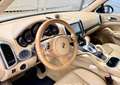 Porsche Cayenne Diesel Platinum Edition Aut. Gris - thumbnail 22