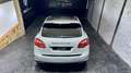 Porsche Cayenne Diesel Platinum Edition Aut. Gris - thumbnail 10