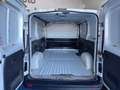 Fiat Talento 2.0 ecojet CH1 10Q 10cv S&S E6d-temp Bianco - thumbnail 9