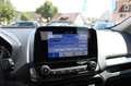 Ford EcoSport Trend Winterpaket PDC Gris - thumbnail 16
