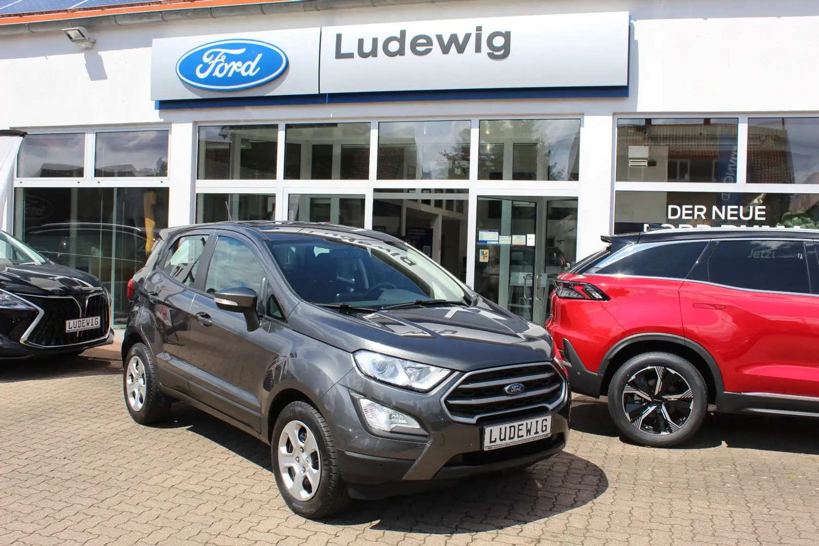Ford EcoSport Trend Winterpaket PDC Gris - 1