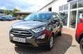Ford EcoSport Trend Winterpaket PDC Gris - thumbnail 6