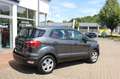 Ford EcoSport Trend Winterpaket PDC Gris - thumbnail 3