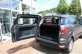 Ford EcoSport Trend Winterpaket PDC Gris - thumbnail 5