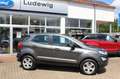 Ford EcoSport Trend Winterpaket PDC Gris - thumbnail 2