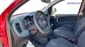 Fiat Panda Panda III 2021 Cross 1.0 firefly hybrid Cross s Rojo - thumbnail 10