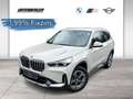 BMW X1 xDrive20d Premium Paket | xLine Grau - thumbnail 1