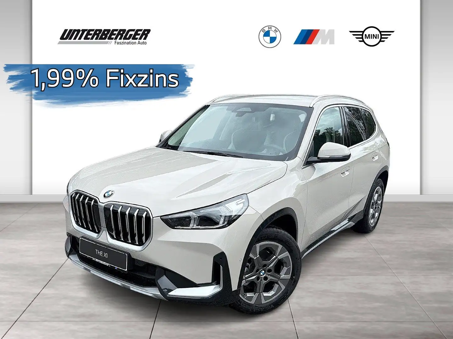 BMW X1 xDrive20d Premium Paket | xLine Grau - 1