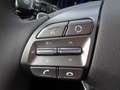 Hyundai IONIQ Ioniq Elektro 38kWh Level 5 Aut. Grau - thumbnail 19