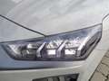 Hyundai IONIQ Ioniq Elektro 38kWh Level 5 Aut. Grau - thumbnail 9