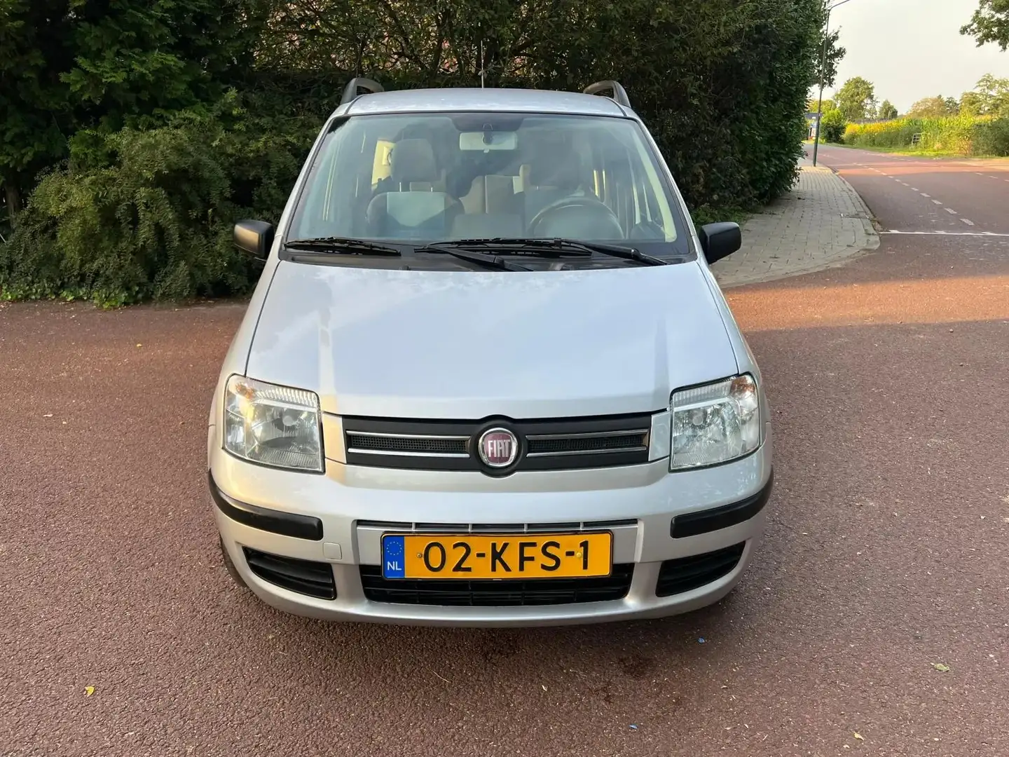 Fiat Panda 1.2 Edizione Cool Gris - 2