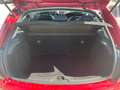 Citroen C3 C3 1.2 puretech Exclusive 82cv E6 Rouge - thumbnail 15