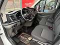 Ford Transit Transit Kasten 2,0 EcoBlue L2H2 350 Trend Weiß - thumbnail 10