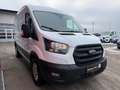 Ford Transit Transit Kasten 2,0 EcoBlue L2H2 350 Trend Weiß - thumbnail 3