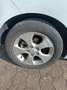 Kia Venga Venga 1.4 crdi Active (wgt EX) 90cv Weiß - thumbnail 7