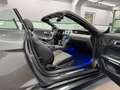 Ford Mustang 2.3 Eco Cabrio/Shelby GT-500/Premium/R19 Grau - thumbnail 18