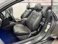 Ford Mustang 2.3 Eco Cabrio/Shelby GT-500/Premium/R19 Grau - thumbnail 23