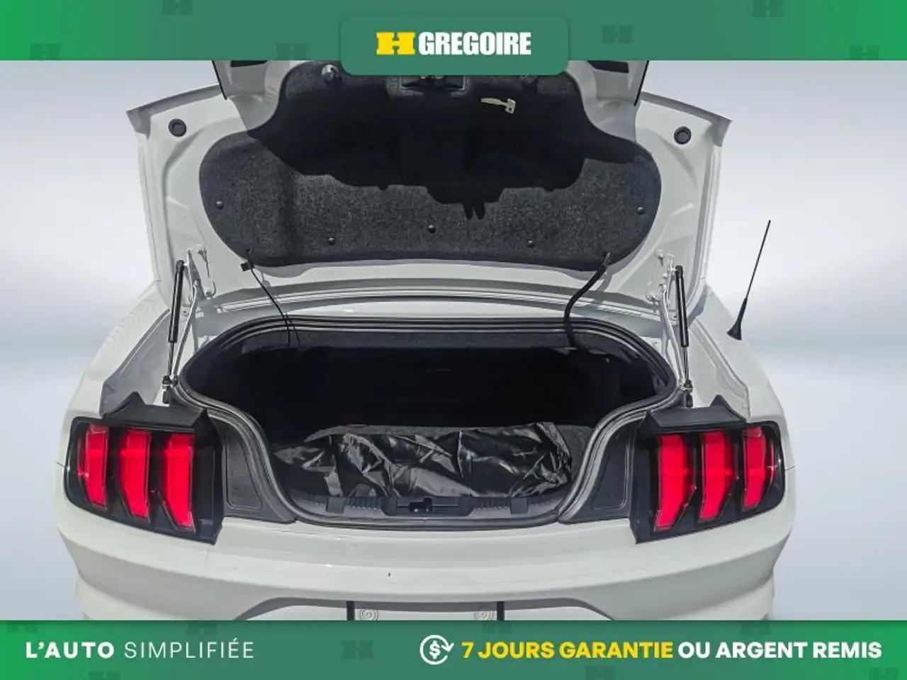 Ford Mustang photo Ford Mustang
