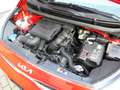 Kia Picanto 1.0 MPI, nur 14.400 km, Klima, Alus, Garantie Rouge - thumbnail 17