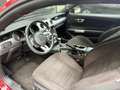 Ford Mustang Fastback 2.3 EcoBoost Aut. Rojo - thumbnail 27