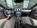 Ford Mustang Fastback 2.3 EcoBoost Aut. Rojo - thumbnail 33