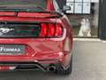 Ford Mustang Fastback 2.3 EcoBoost Aut. Rojo - thumbnail 19