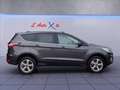 Ford Kuga 1.5 tdci Titanium s&s 2wd 120cv powershift Grigio - thumbnail 8