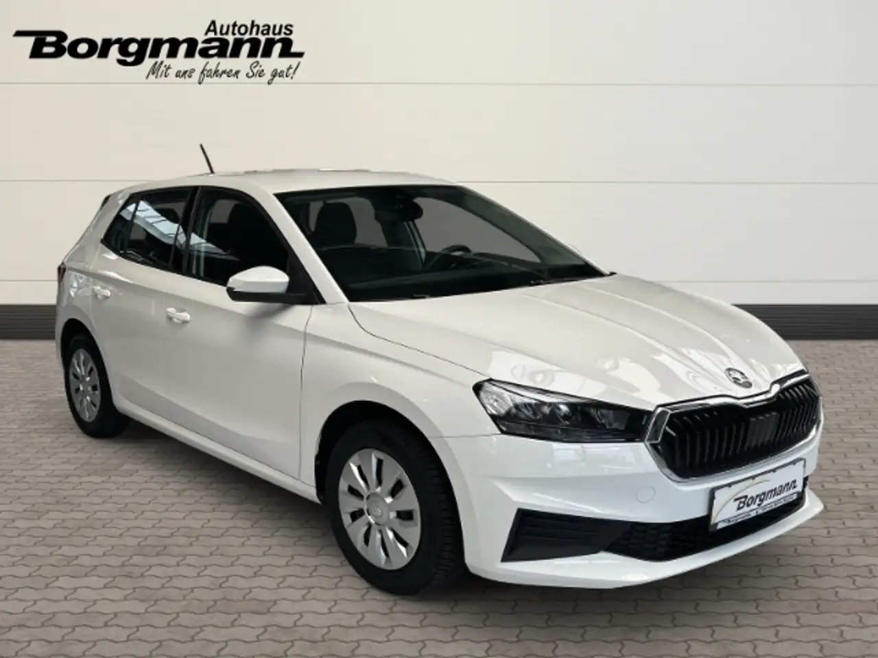 Skoda Fabia Ambition Apple CarPlay Android Auto, миниатюра 3