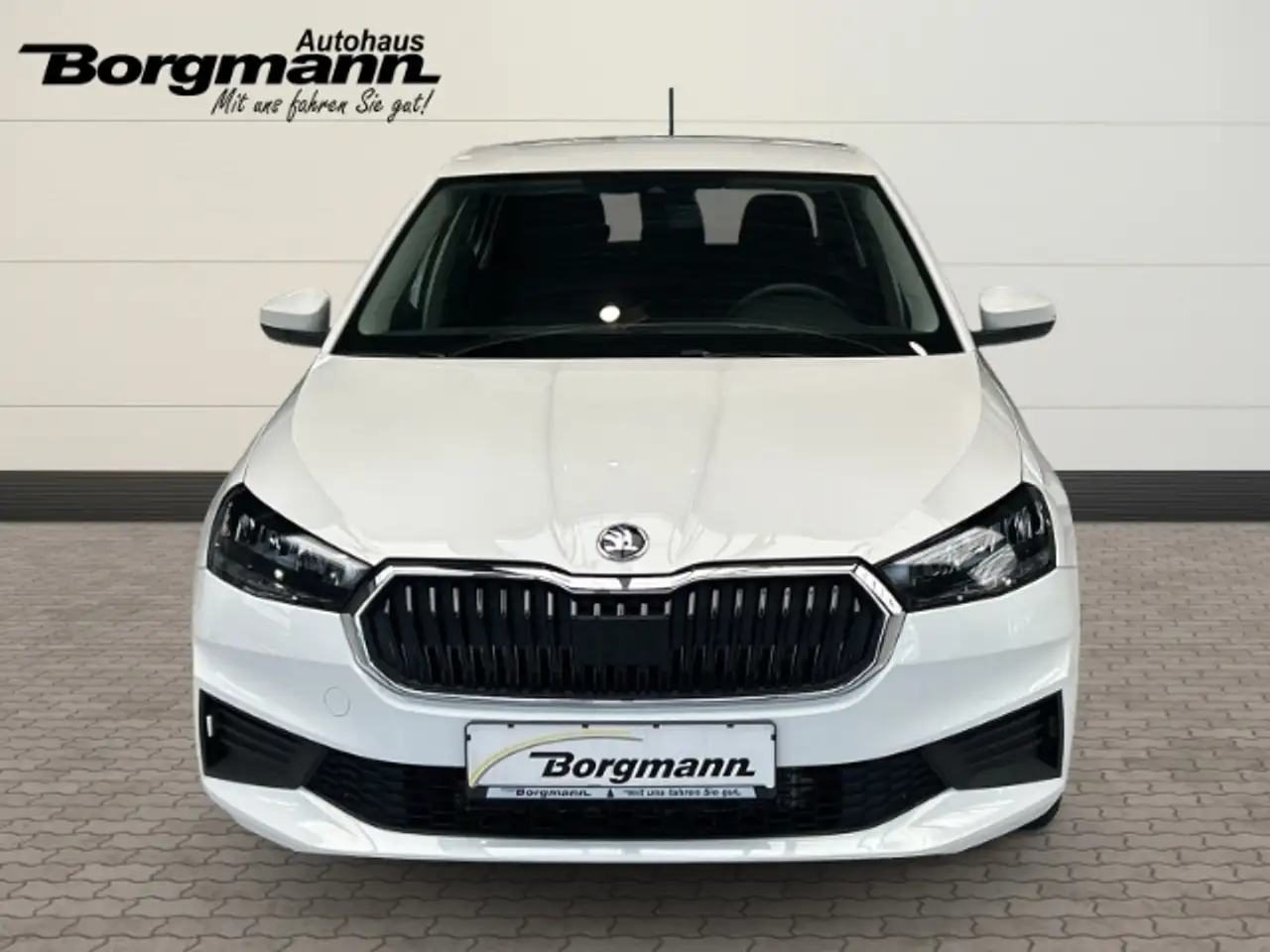 Skoda Fabia Ambition Apple CarPlay Android Auto, миниатюра 2