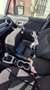 Jeep Renegade 2,0 MultiJet II 120 Tribute to Austria AWD - thumbnail 7