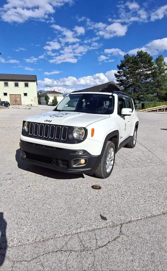 Jeep Renegade 2,0 MultiJet II 120 Tribute to Austria AWD - 1