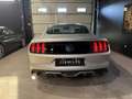Ford Mustang Mustang Fastback V8 5.0 421 GT A Plateado - thumbnail 5