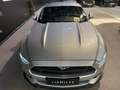Ford Mustang Mustang Fastback V8 5.0 421 GT A Plateado - thumbnail 2